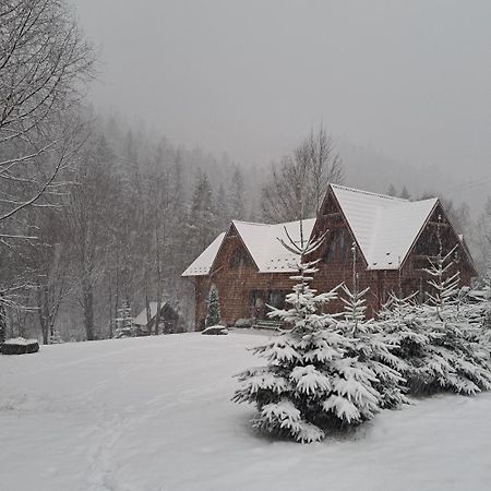 Зарінок Карпат Villa Mykulytjyn Exteriör bild