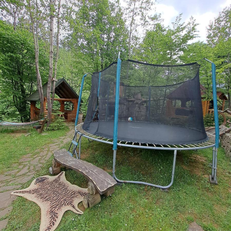 Зарінок Карпат Villa Mykulytjyn Exteriör bild