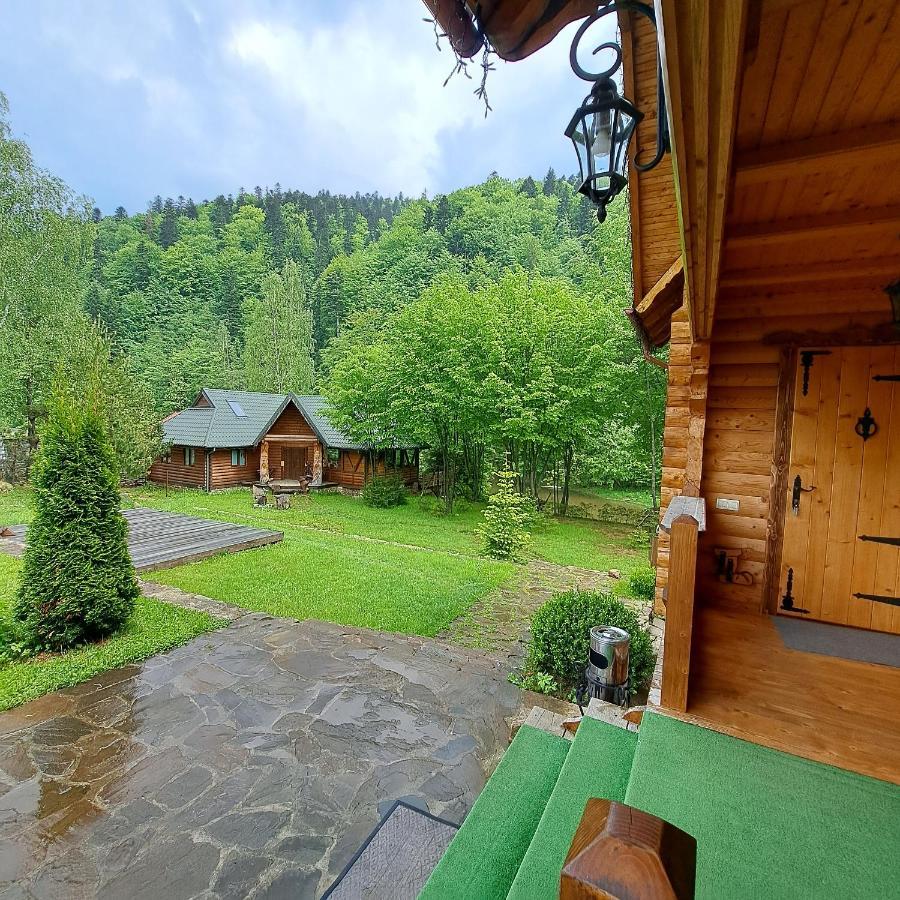 Зарінок Карпат Villa Mykulytjyn Exteriör bild